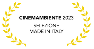 palmine cinemambiente 2312 web